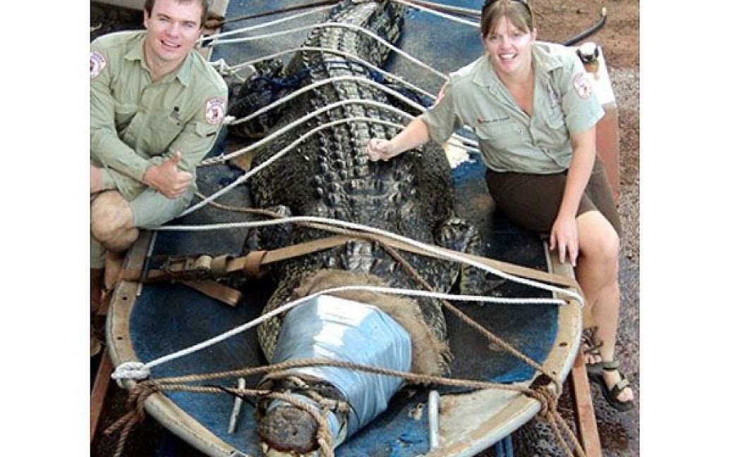 Австралія, Кетрін. Працівники парку дикої природи Wildlife Service сидять поруч із монстром-крокодилом довжиною 4,64 м і вагою 600 кг, якого зловили в парку. Крокодил був доставлений на найближчу крокодилячу ферму, де його показуватимуть туристам. Фото AFP/HO/Department of Natural Resources, Environment, the Arts and Sport / © AFP