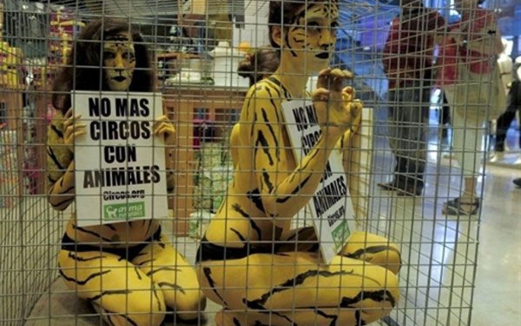 Іспанія, Барселона. Активісти руху захисту прав тварин "AnimaNaturalis" із пофарбованими тілами тримають плакати "Ні циркам з тваринами", сидячи в клітці під час акції протесту у центрі Лас-Аренас в Барселоні. / © AFP