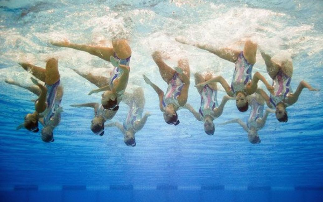 В Шанхаї проходить 14-ий чемпіонат світу з плавання, в якому беруть участь спортсмени з 74 країн. / © bigpicture.ru