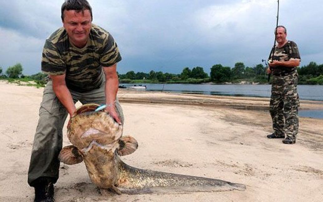 Білорусь, Переров. Рибалка показує сома вагою 38,5 кг, якого він зловив поблизу села Переров у річці Прип&#039;ять. / © AFP