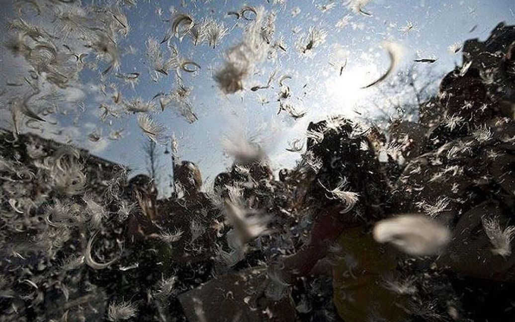 У світі відзначили Міжнародний день битви подушками масовими "боями на подушках" / © AFP
