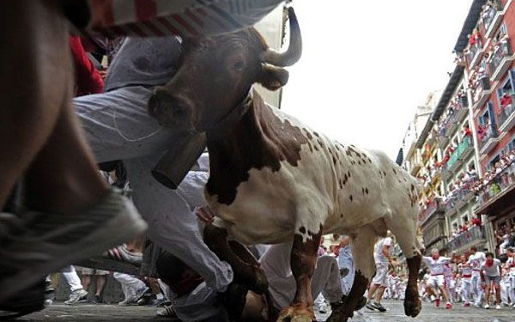 На щорічному 9-денному фестивалі вина та биків Сан-Фермін, який протягом 400 років проводять в іспанському місті Памплона, провели перші забіги з биками. / © AFP