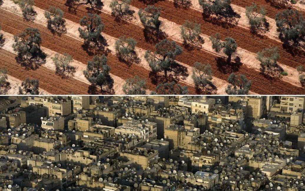 Вгорі: оливкова плантація в Андалусії.
Внизу: супутникові антени на дахах старого міста в Дамаску, Сирія. / © Yann Arthus-Bertrand