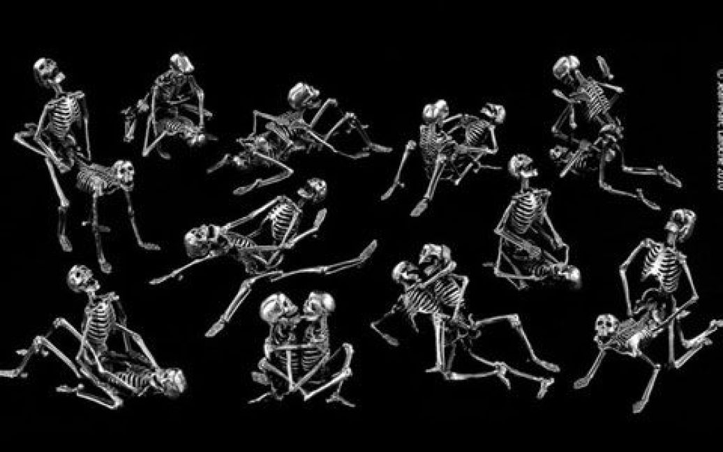 В Музеї еротики в Парижі відкрилась виставка французького скульптора Жан-Марка Лароша, на якій скелети демонструють пози "Камасутри". / © jmlaroche.com