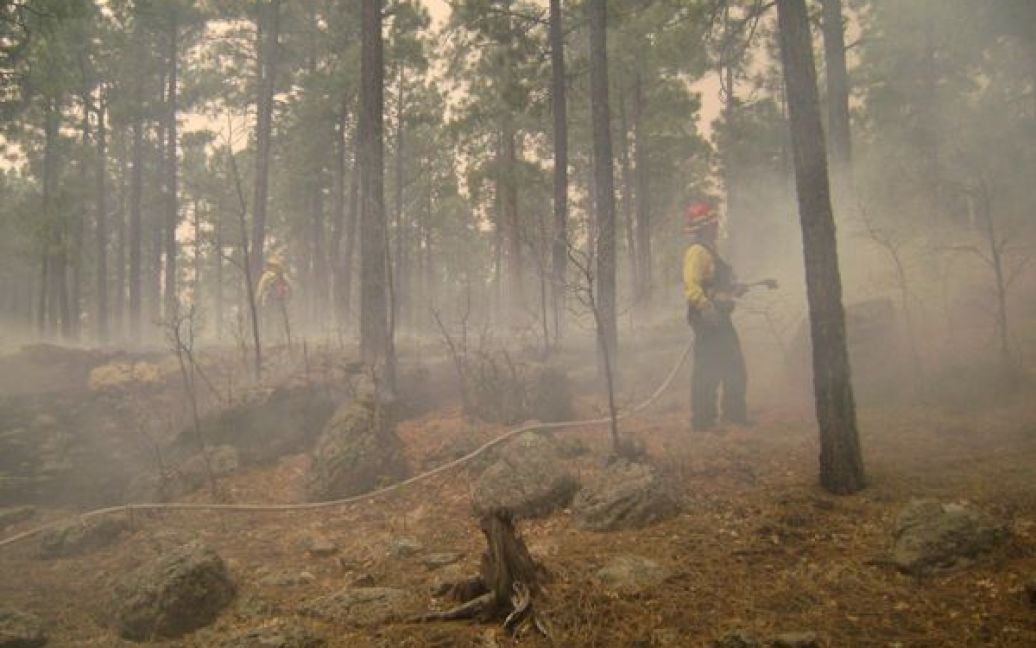 У США в штаті Арізона близько шести тисяч людей довелось евакуювати через найбільшу в історії Арізони лісову пожежу / © ctv.ca