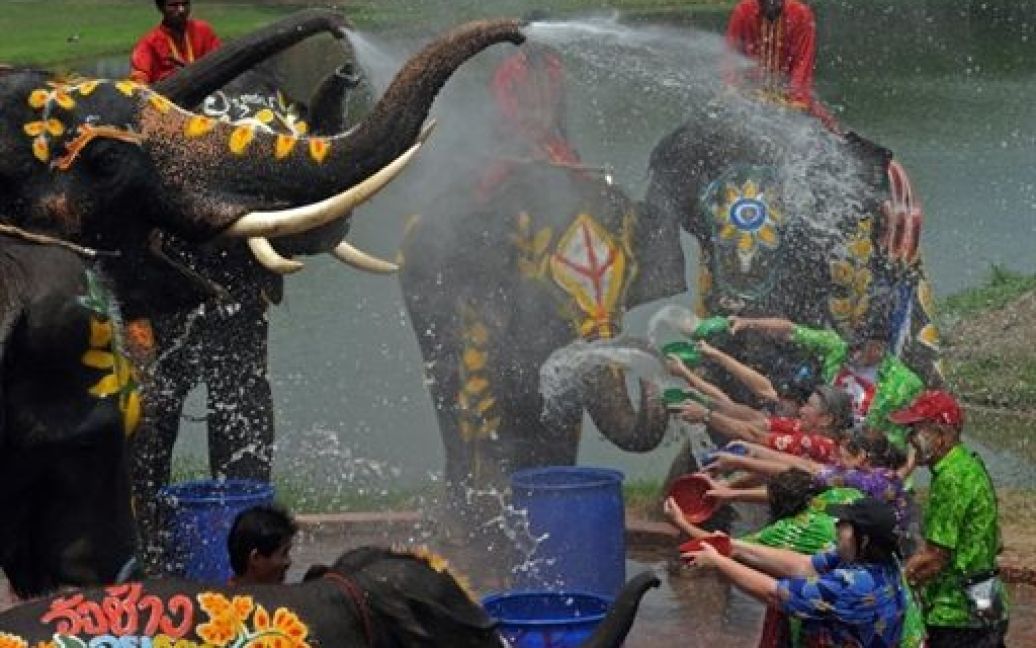 Таїланд, Аюттхая. Слони поливають водою іноземних туристів під час фестивалю Сонгкран у провінції Аюттхая. Сонгкран є тайським Новим роком, який починається 13 квітня. / © AFP
