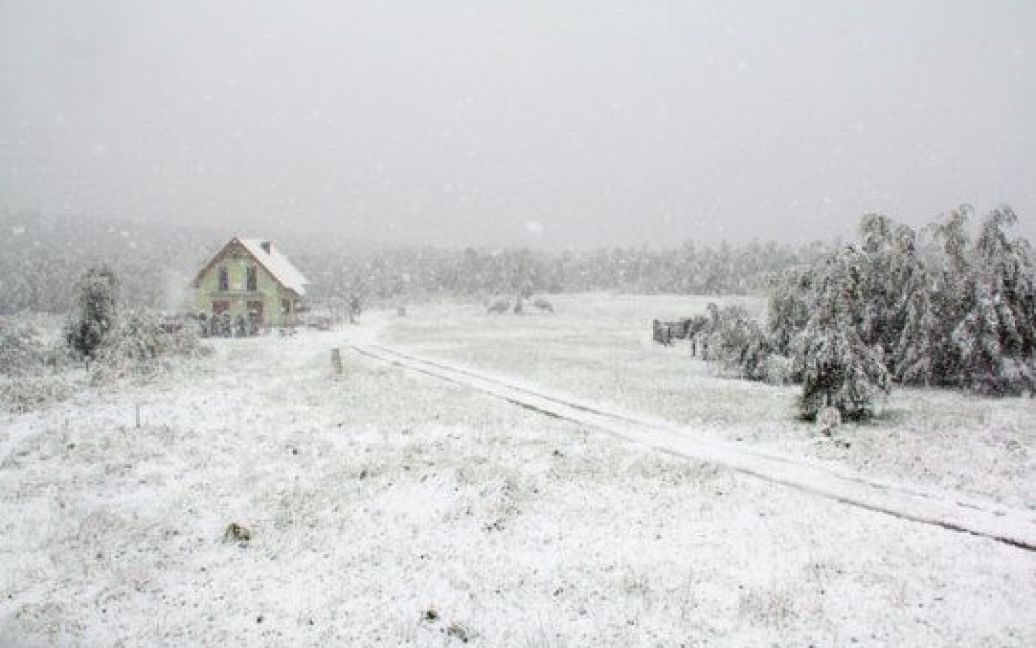 В розпал весни хуртовина замела Польщу снігом, вчинивши у країні транспортний колапс. / © oleshift.ning.com