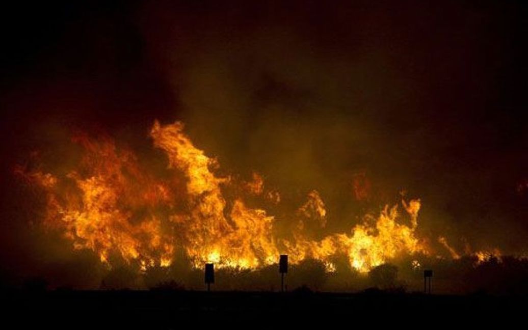 Іспанія, Ла Лінеа де ла Консепсьон. Пожежа на горі Сьєрра-Карбонера в містечку Ла Лінеа де ла Консепсьон на південному заході Іспанії. Через пожежу частина населення міста змушена була евакуюватися, було закрито федеральну трасу. / © AFP