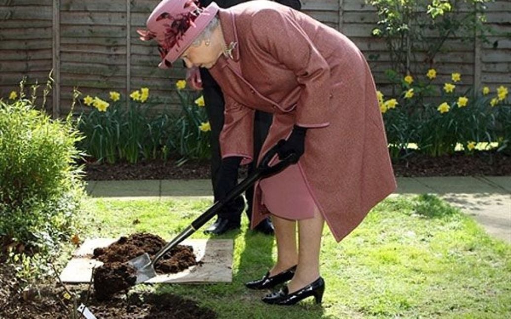 Великобританія, Лондон. Королева Великобританії Єлизавета II підсипає землю під кущ троянд, який висадили у Королівському фонді Святої Катерини у Лондоні. Фонд, заснований у 1147 році королевою Матільдою, зараз є однією з найстаріших релігійних установ у Великобританії. / © AFP