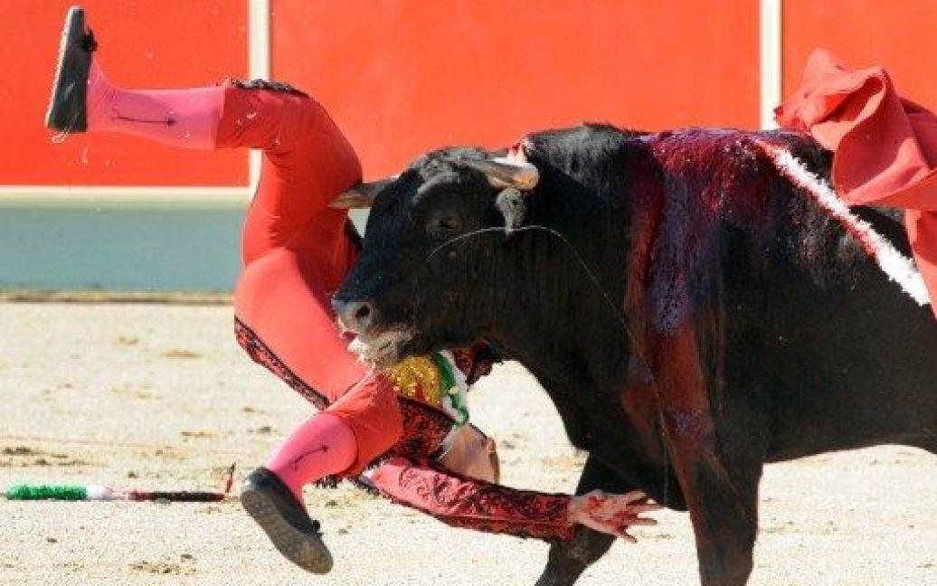 Франція. Іспанський тореро Кончі Ріос отримав поранення в бою з биком Пабло під час кориди. 20-річний Ріос отримав серйозну травму правої ноги. / © AFP