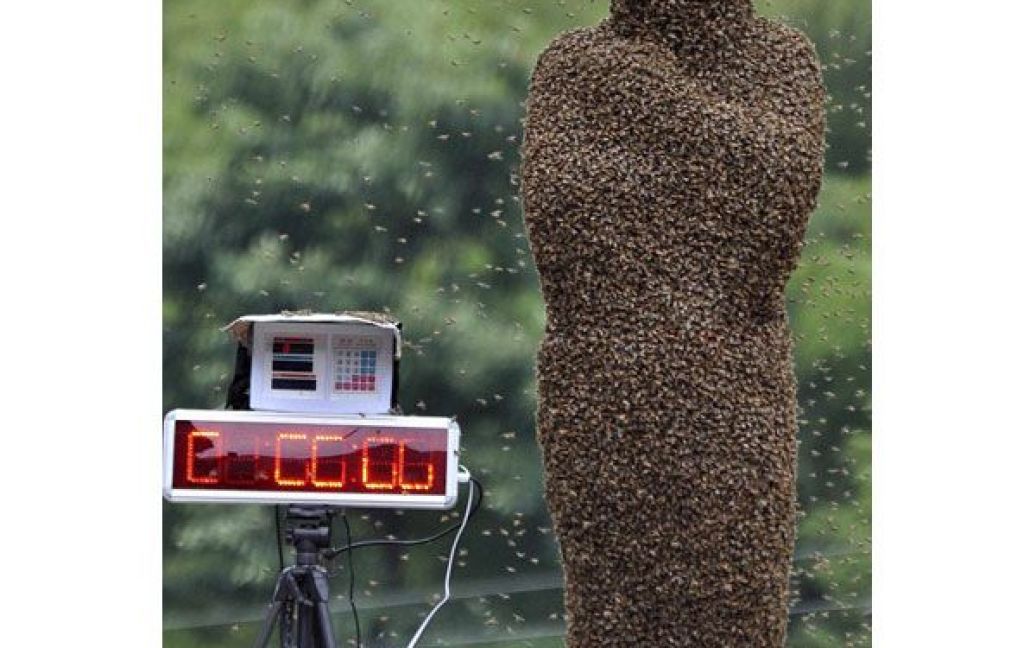 За умовами змагань, вони повинні були привабити на себе якомога більше бджіл. / © bigpicture.ru
