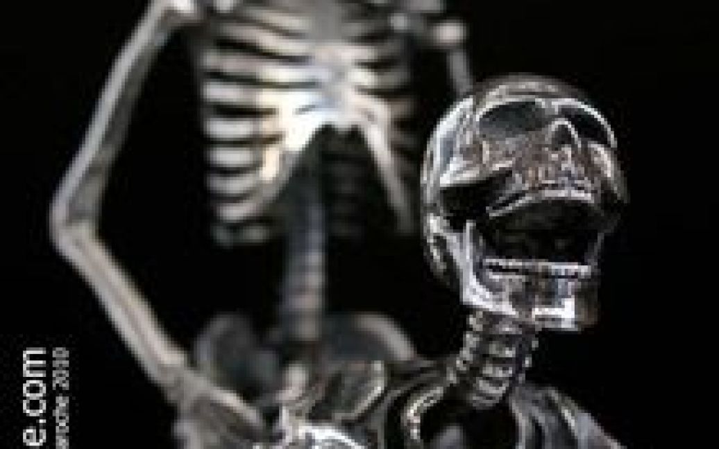 Серед експонатів є скелети у натуральну величину і мініатюрні копії. / © jmlaroche.com