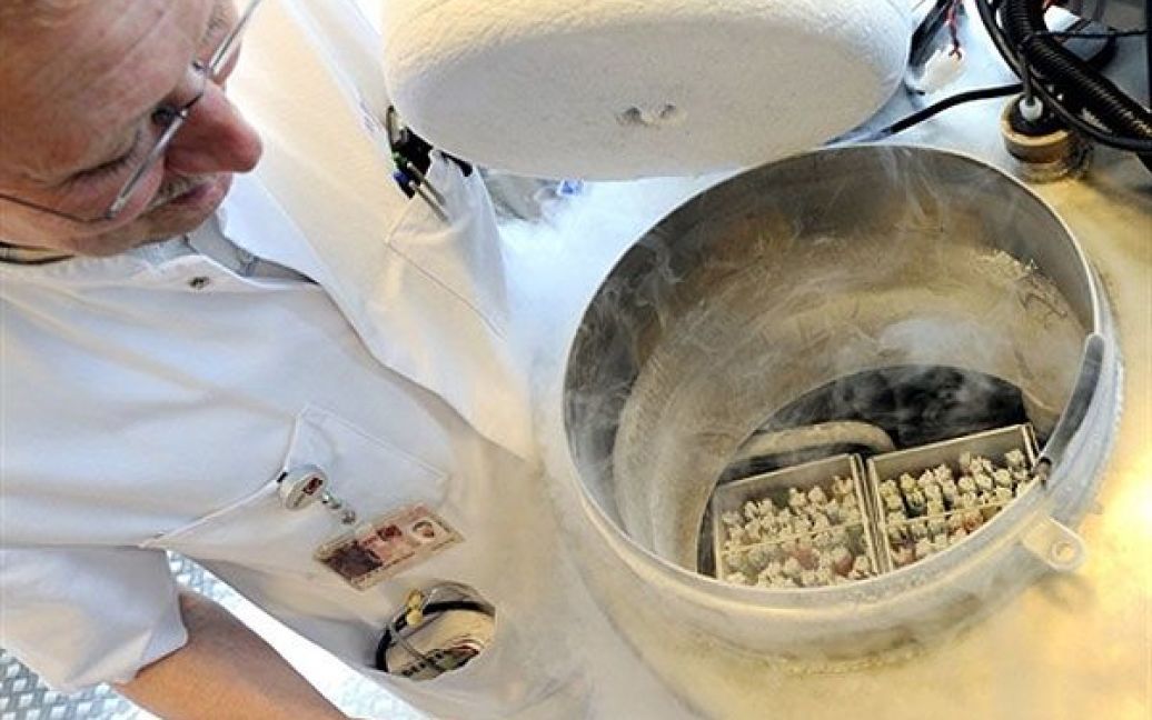 Нідерланди, Амстердам. Технік відкриває посуд, який містить жіночі заморожені яйцеклітини. З сьогоднішнього дня у Нідерландах жінки зможуть заморожувати свої яйцеклітини, наприклад, з медичних причин, у випадку, коли жінка страждає на рак. / © AFP