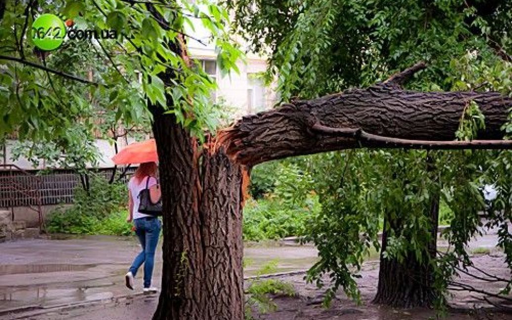 Луганськ потерпає від проливних дощів, блискавок та сильних поривів вітру. / © 0642.com.ua