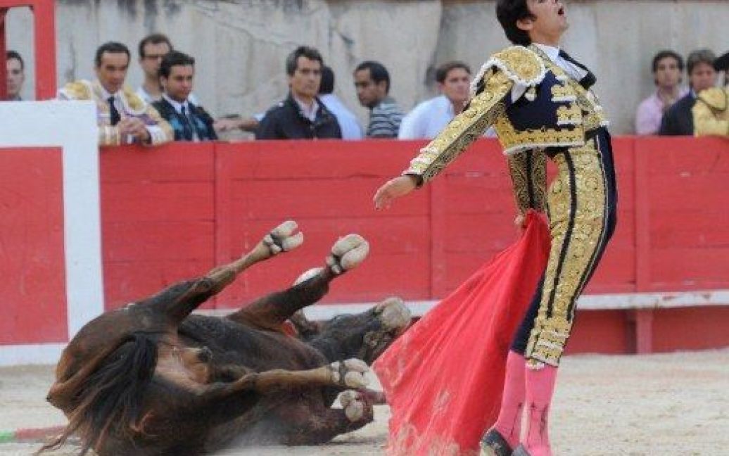 Франція, Нім. Іспанський матадор Мігель Анхель Перера під час бою з биком на святі у Німі. / © AFP