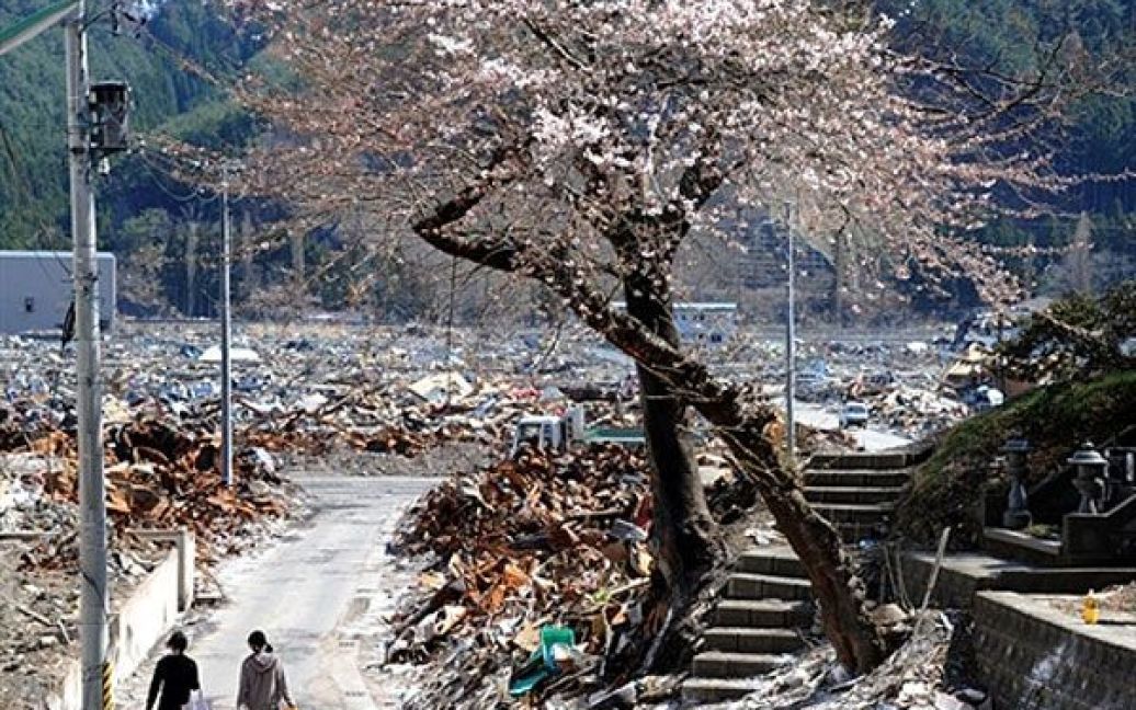 Японія, Отсучі. Жінки проходять під квітучою сакурою на вулиці зруйнованого цунамі міста Отсучі. Японські законодавці вимагають від президента компанії TEPCO взяти на себе відповідальність за найгіршу ядерну кризу у світі після Чорнобильської аварії. / © AFP
