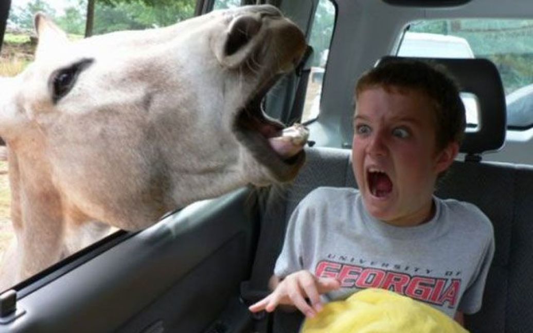 © awkwardfamilyphotos.com