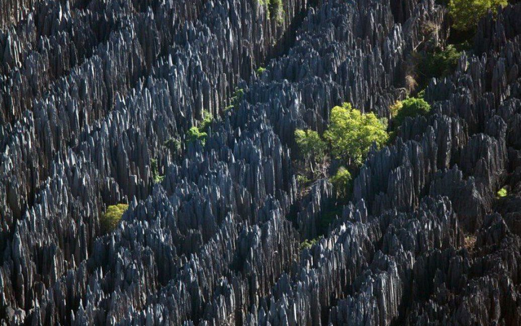 Кам&rsquo;яний ліс Цингі-де-Бемараха, який утворився в результаті ерозії. / © Yann Arthus-Bertrand