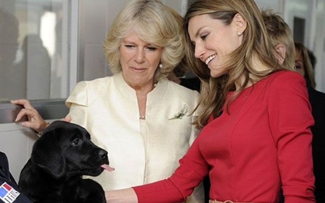 Іспанія, Мадрид. Принцеса Іспанії Летиція і герцогиня Корнуольська Камілла відвідали Іспанську національну організацію сліпих, де виховують собак-поводирів. / © AFP
