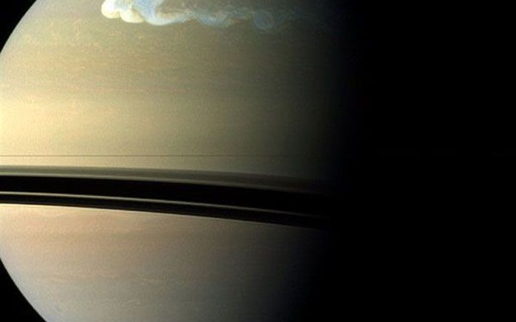 Космос. Камера "Кассіні" зняла шторм на Сатурні, який охопив десятки тисяч квадратних кілометрів. "Ширина" голови шторму майже дорівнює відстані від Лондона до Кейптауна. Фото AFP/Каролін Порко та CICLOPS/NASA/JPL-Caltech/SSI / © AFP