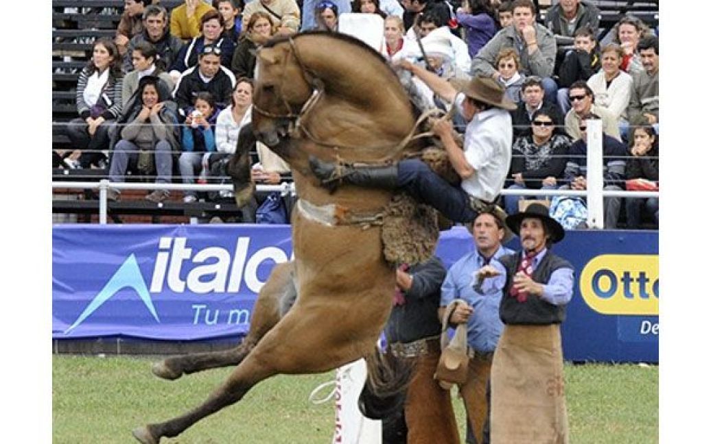 Уругвай, Монтевідео. Гаучо намагається приборкати коня під час традиційного щорічного родео у Монтевідео. / © AFP