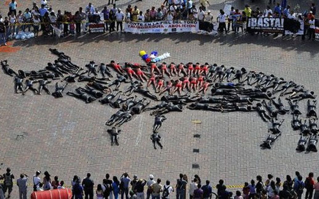 Колумбія, Калі. Активісти виклали з власних пофарбованих тіл гігантського бика на знак протесту проти проведення кориди в Калі. / © AFP