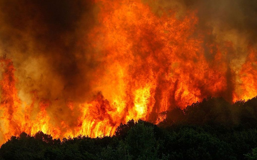 В штаті Техас вирують масштабні пожежі, викликані посухою та сильним вітром. / © AFP