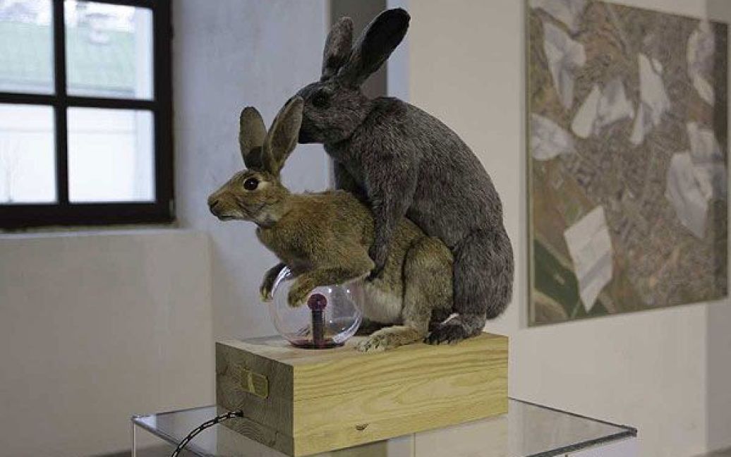 Ілля Чічкан виставив роботу "Космо", на якій зображено двох кролів у процесі парування. / © gazeta.ua
