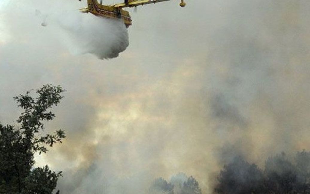 Франція, Ле Таіллан-Медок. Пожежний літак "Canadair" гасить лісову пожежу, яка встигла знищити 45 га насаджень на південному заході Франції. / © AFP