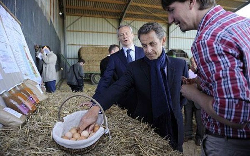 Франція, Ерікур. Президент Франції Ніколя Саркозі збирає яйця під час візиту на ферму у північній Франції. / © AFP