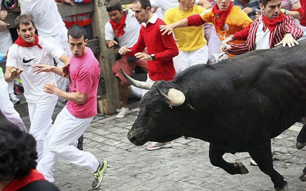 На щорічному 9-денному фестивалі вина та биків Сан-Фермін, який протягом 400 років проводять в іспанському місті Памплона, провели перші забіги з биками. / © TotallyCoolPix