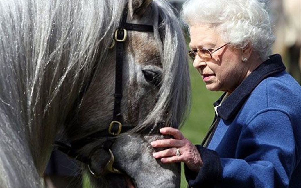 Великобританія, Віндзор. Британська королева Єлизавета II гладить одного зі своїх коней під час візиту на Королівське Віндзорське дербі у графстві Беркшир. У шоу, яке є найбільшою кінною подією у Великобританії, беруть участь понад 3000 коней і поні. / © AFP