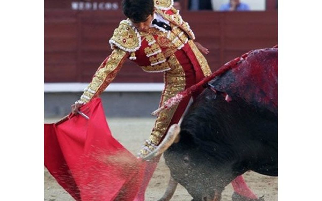 Іспанія, Мадрид. Мексиканський матадор Хоселіто Адамі бореться з биком на арені Лас-Вентас під час кориди на святі Сан-Ісідро в Мадриді. / © AFP