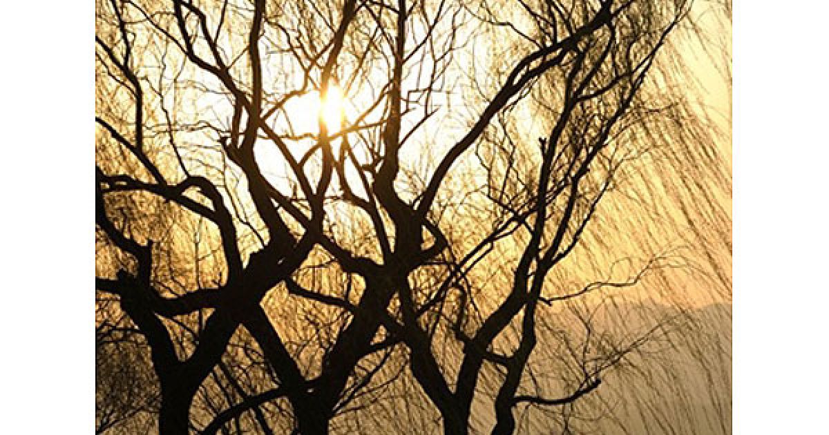 Китай, Пекін. Жінка робить фотографії на озері Куньмін поблизу Літнього палацу в Пекіні, який був збудований за часів династії Цзінь (1115-1234 рр.). / © AFP