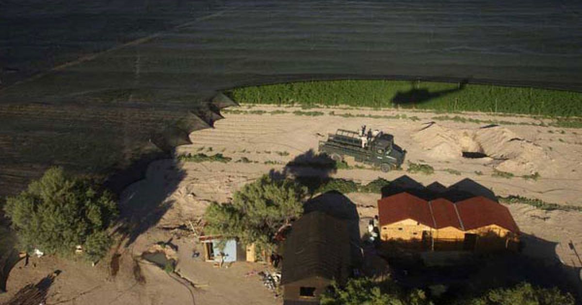 Мексиканська армія виявила поблизу кордону зі США найбільшу плантацію марихуани в історії країни, площею 120 га. / © bigpicture.ru