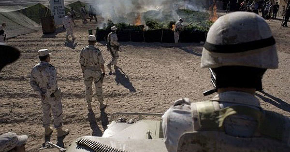 Мексиканська армія виявила поблизу кордону зі США найбільшу плантацію марихуани в історії країни, площею 120 га. / © AFP