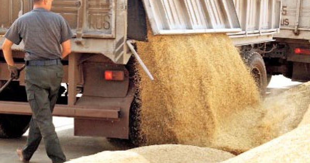 Україна втратила півтора мільярда доларів через експортні мита