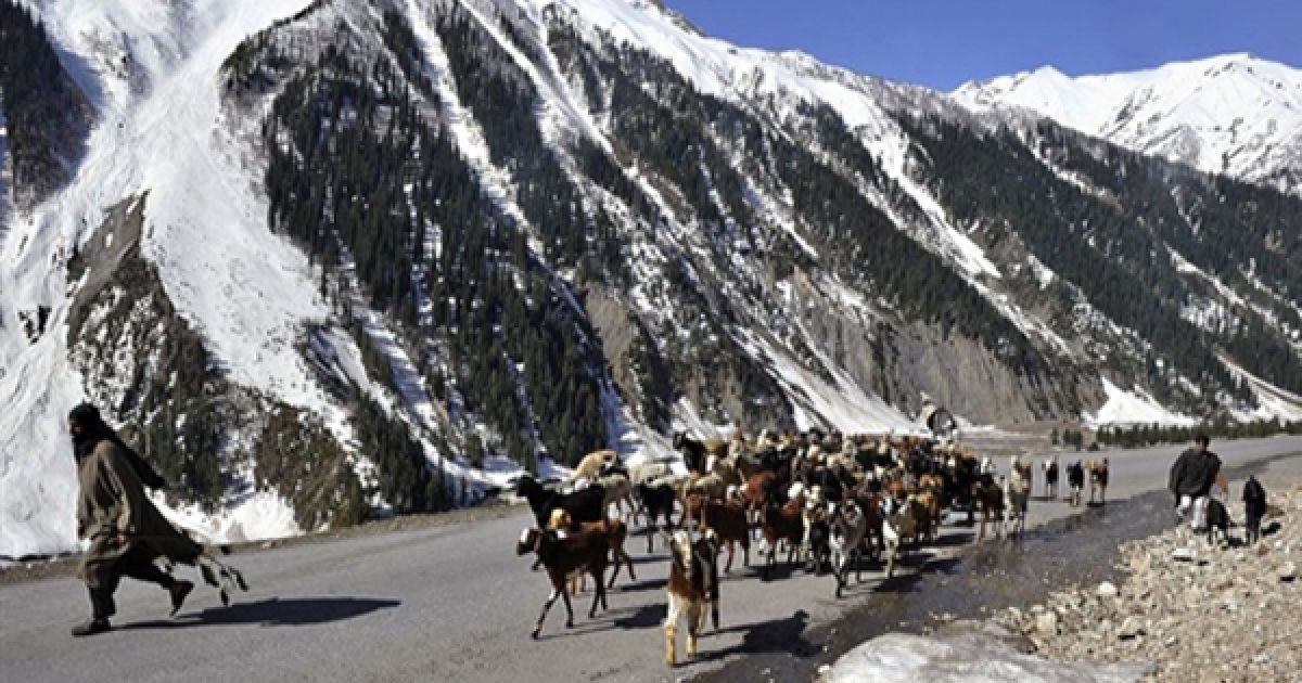 Індія, Зоджи Ла. Поліція Індії відкрила для руху дорогу на високогірному перевалі Зоджи Ла, яка була вкрита снігом останні 6 місяців. Це шосе сполучає Срінагар із Лехом, який користується великим попитом серед туристів. / © AFP