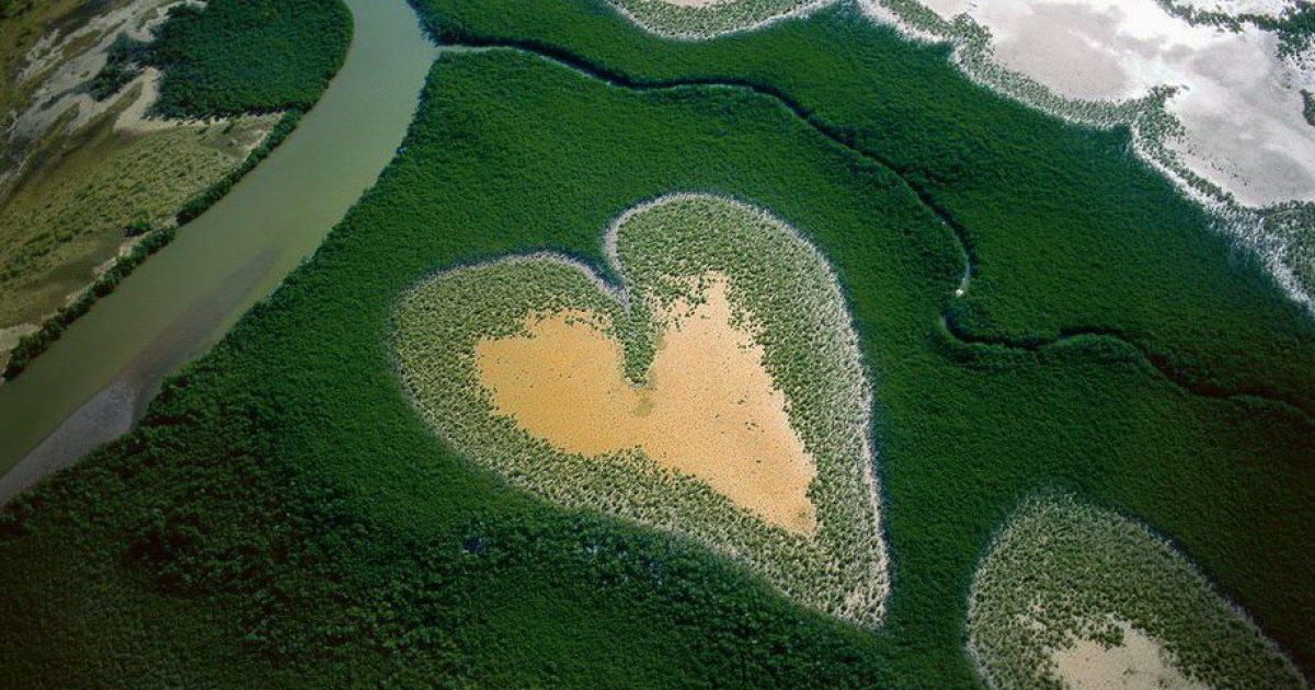 Серце з мангрових дерев у Новій Каледонії / © Yann Arthus-Bertrand