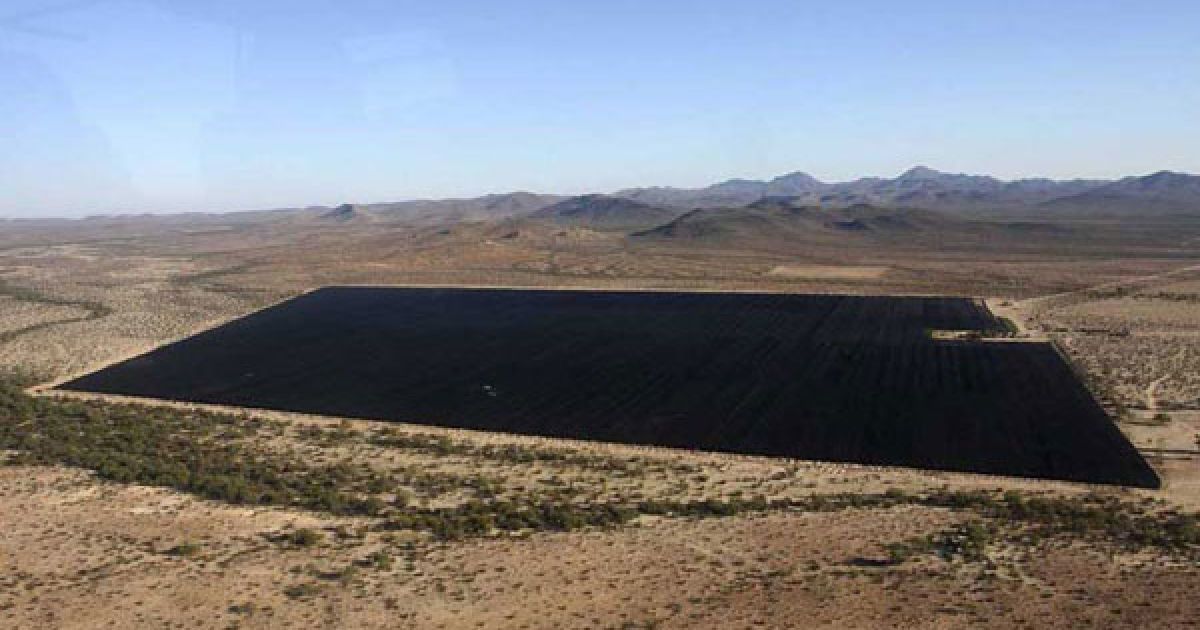 Мексиканська армія виявила поблизу кордону зі США найбільшу плантацію марихуани в історії країни, площею 120 га. / © bigpicture.ru