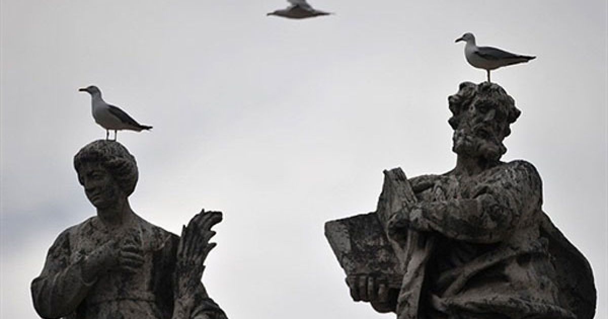 Ватикан. Чайки сидять на статуї під час щотижневої загальної аудієнції Папи Римського Бенедикта XVI. / © AFP