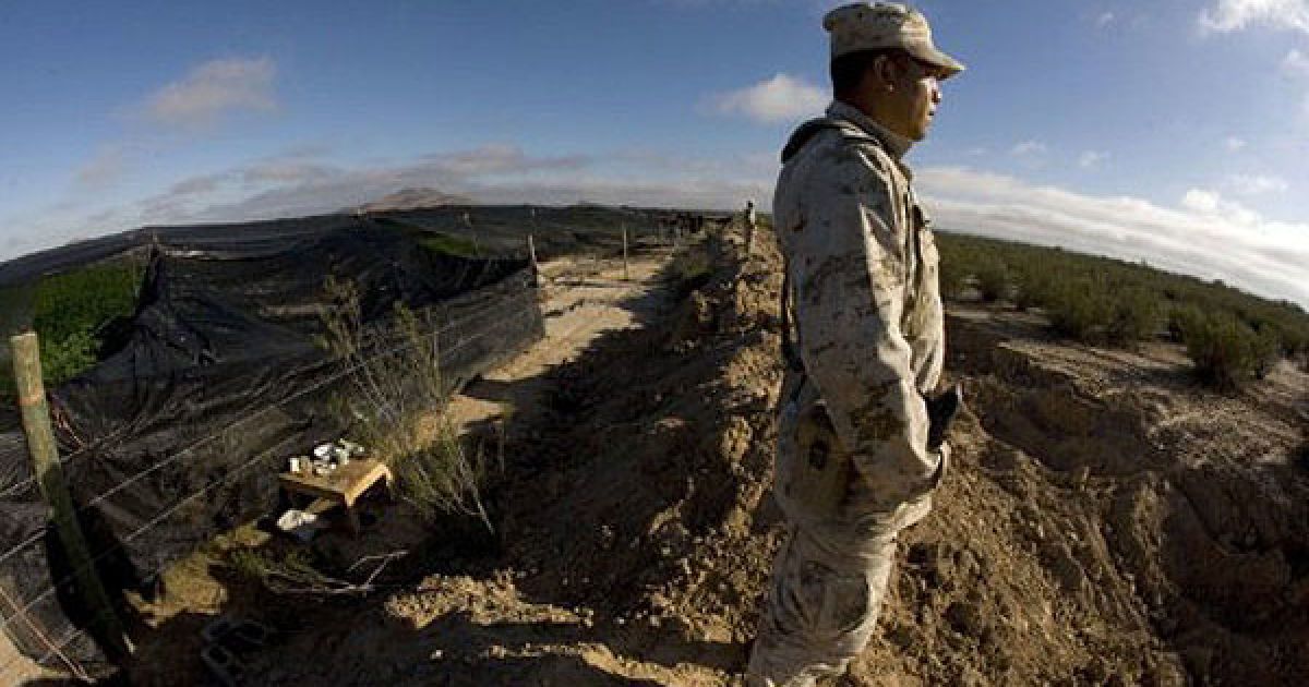 Мексиканська армія виявила поблизу кордону зі США найбільшу плантацію марихуани в історії країни, площею 120 га. / © AFP