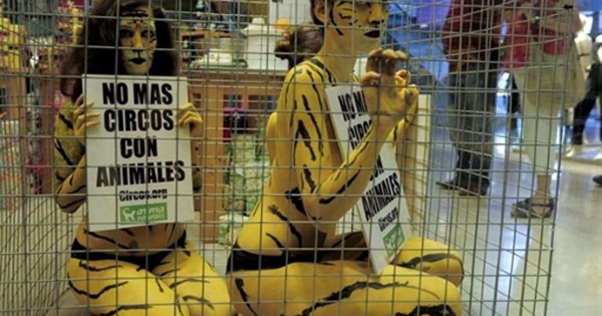 Іспанія, Барселона. Активісти руху захисту прав тварин "AnimaNaturalis" із пофарбованими тілами тримають плакати "Ні циркам з тваринами", сидячи в клітці під час акції протесту у центрі Лас-Аренас в Барселоні. / © AFP
