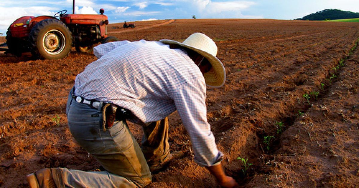 Фермери розкритикували ініціативи Податкової
