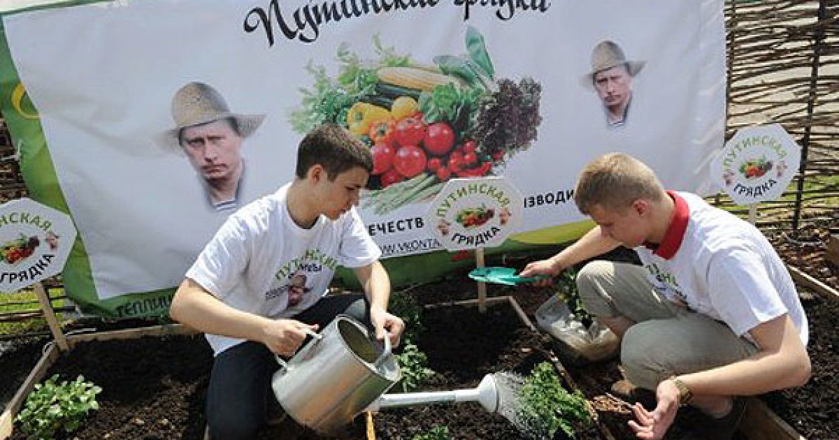 Росія, Москва. Хлопці обробляють грядки перед плакатом із фотографією прем&#039;єр-міністра РФ Володимира Путіна на городі газового заводу Арма в Москві. Група москвичів відкрила "Путінські грядки" для городян, які мають бажання вирощувати на городі власні овочі. / © AFP