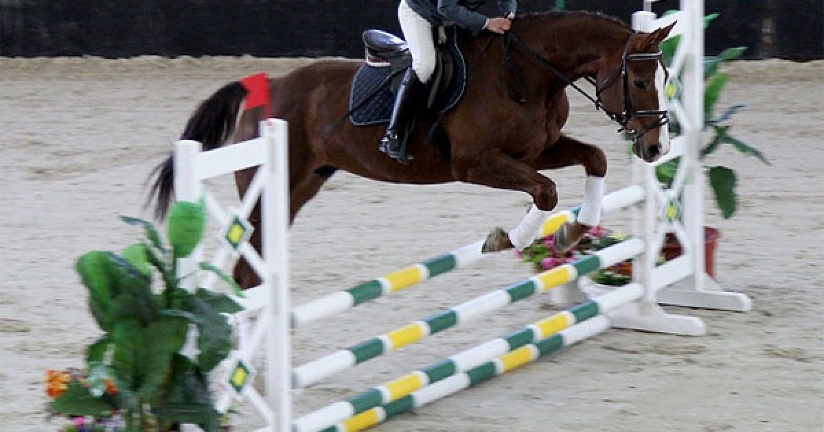 Віктор Янукович переглянув показовий виступ вихованців Жашківської кінноспортивної школи та вручив їм пам&#039;ятні дипломи. / © President.gov.ua