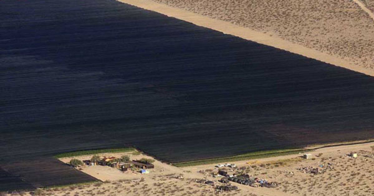 Мексиканська армія виявила поблизу кордону зі США найбільшу плантацію марихуани в історії країни, площею 120 га. / © bigpicture.ru