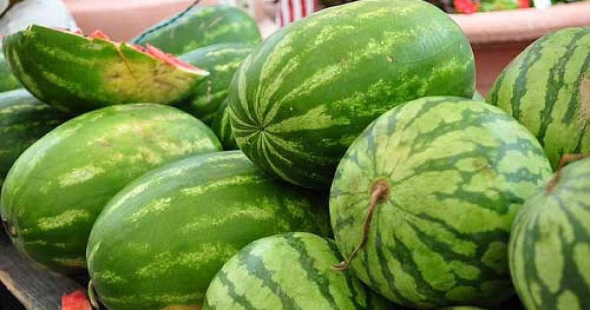 Капитан украл арбуз стоимостью 150 рублей.