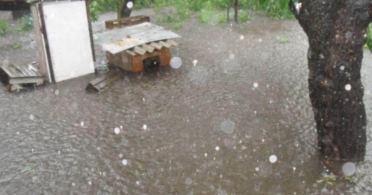 Через сильний дощ підтопило мікрорайон Бортничі, води було по коліно, затопило сараї та будинки. / © Gazeta.ua