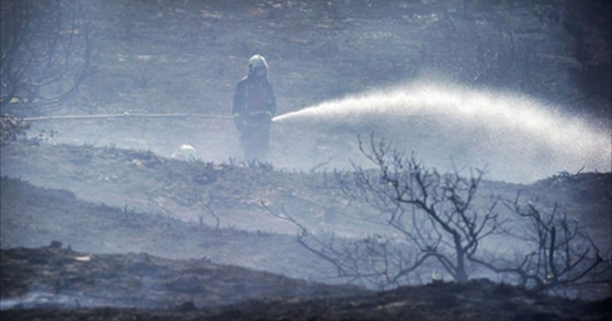 Нідерланди, Схорл. Рятувальник намагається загасити пожежу поблизу міста Схорл. Лісові пожежі у Нідерландах вже знищили більше 300 гектарів угідь. / © AFP